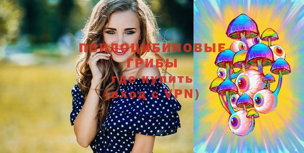 бутират Кукмор