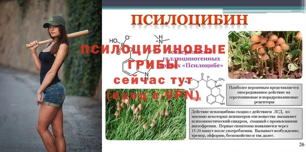 дурь Пенза