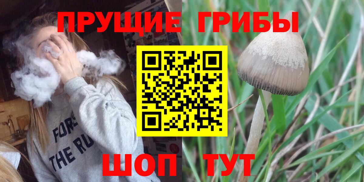 как найти закладки  Галлюциногенные грибы Psilocybe  Вход с VPN  Новочеркасск 