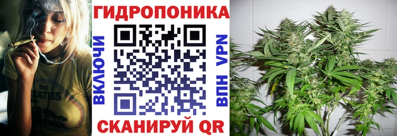 Каннабис ГИДРОПОН  наркота  Новочеркасск 